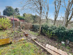 Garden- click for photo gallery